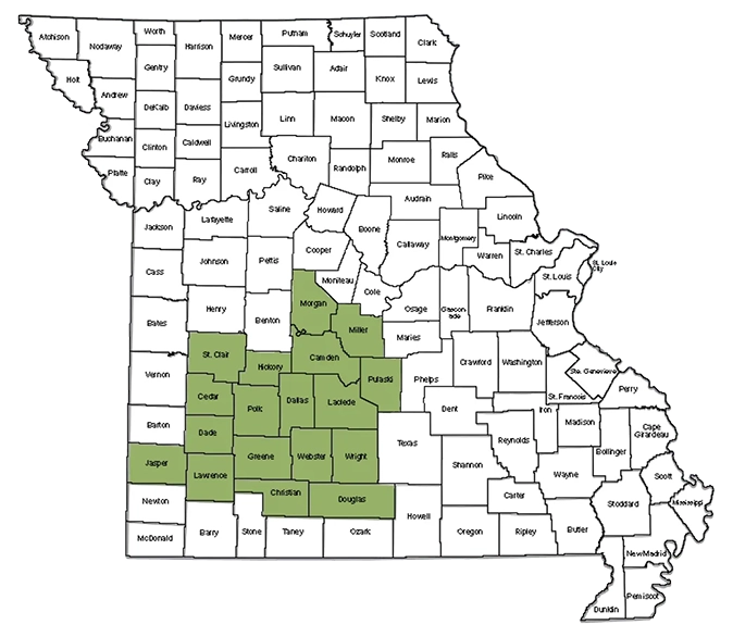 Areas We Serve Feature Image